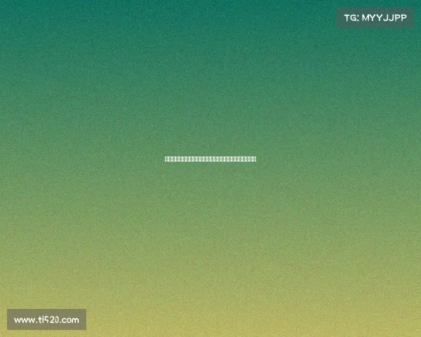 德甲官方频道带你深入解读联赛最新动态与球场背后的故事