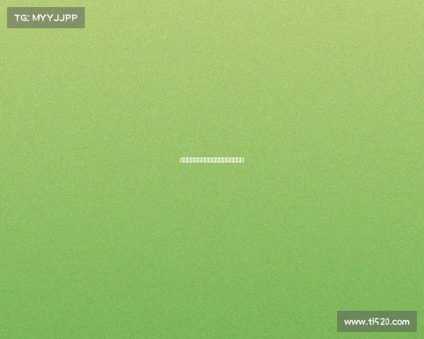 拜仁慕尼黑：德国足坛巅峰的传奇与荣耀